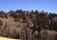 MMA South Baldy NM Site, December 1990