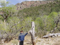 NRAO-wide Computing and Information Services meeting - VLA tour, 27 April 2006