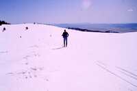 MMA South Baldy NM Site, March 1992