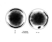 Telescope Polarization, 1963