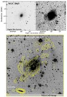 Atomic Gas in the Shell Galaxy NGC 2865