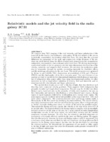 Relativistic Models and the Jet Velocity Field in the Radio Galaxy 3C 31