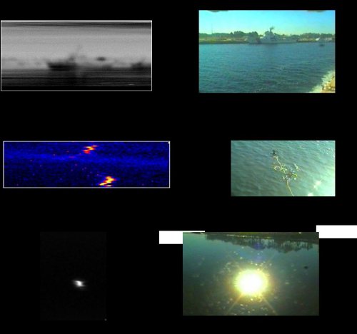 [Comparison of MAPS and video images]