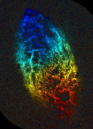 Doppler-Shift Image of M33's Gas