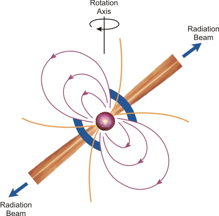 What are pulsars?