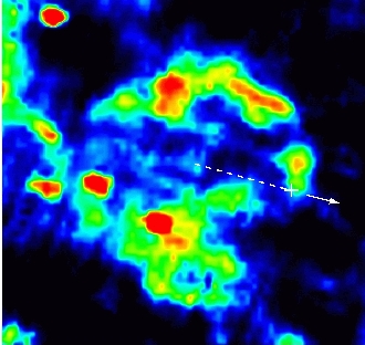 Supernova Remnant and Pulsar -- 
		    Click on image for larger view