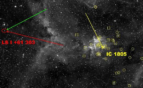 Microquasar and Star Cluster