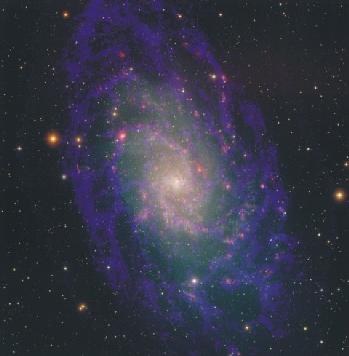 M33